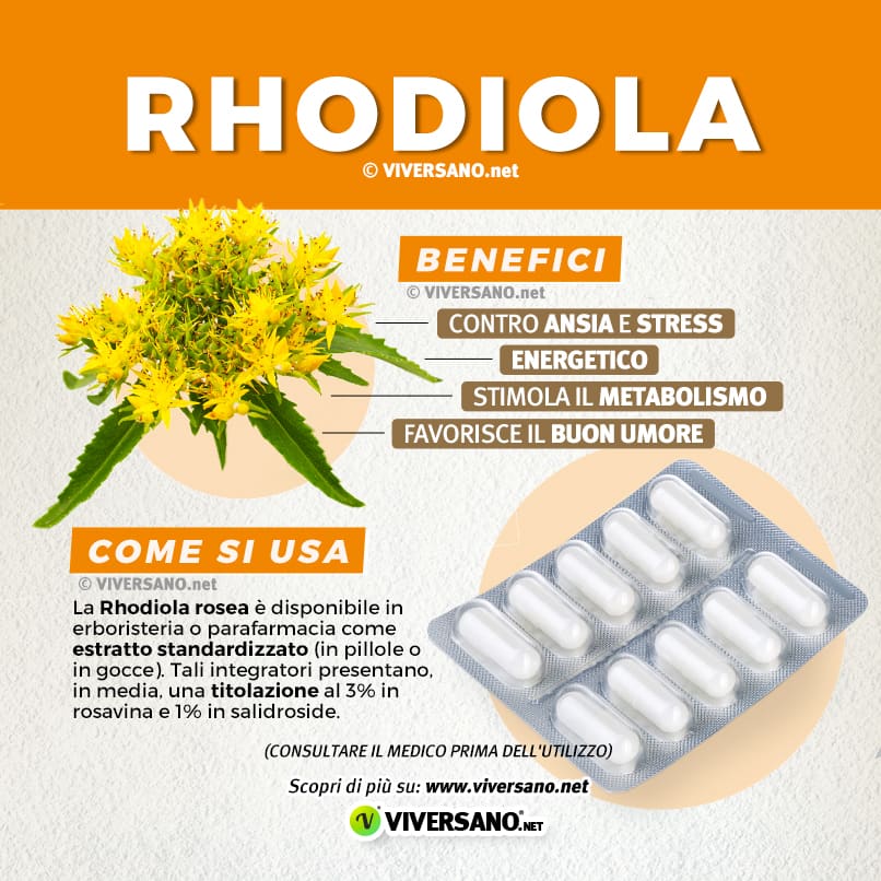 Infografica su usi e benefici della rodiola rosea