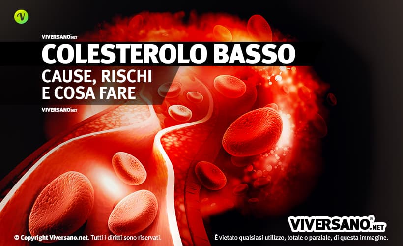 Colesterolo basso nel sangue