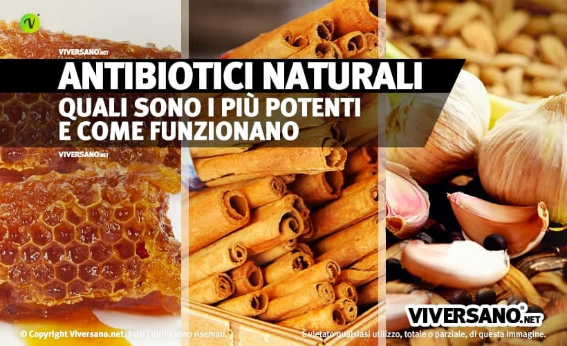Cibi e piante dal potere antibatterico naturale
