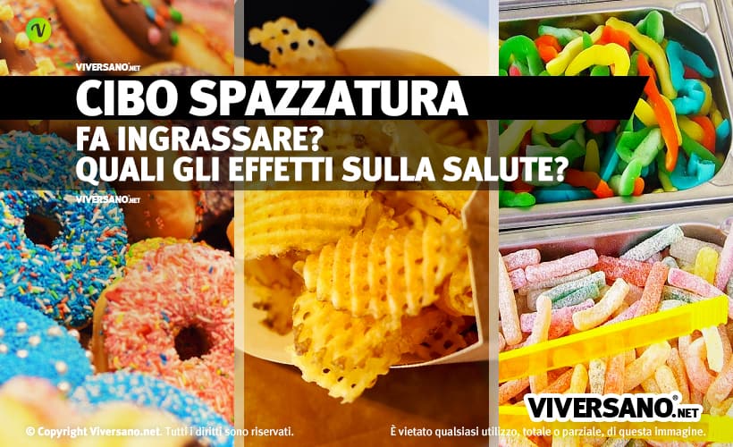 Cibo spazzatura di vario tipo