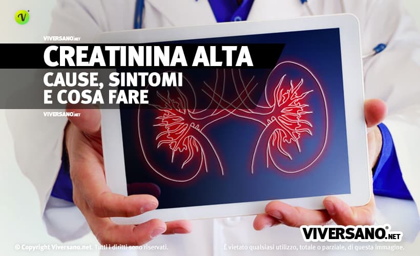 Creatinina alta nel sangue: cause, sintomi e cosa fare