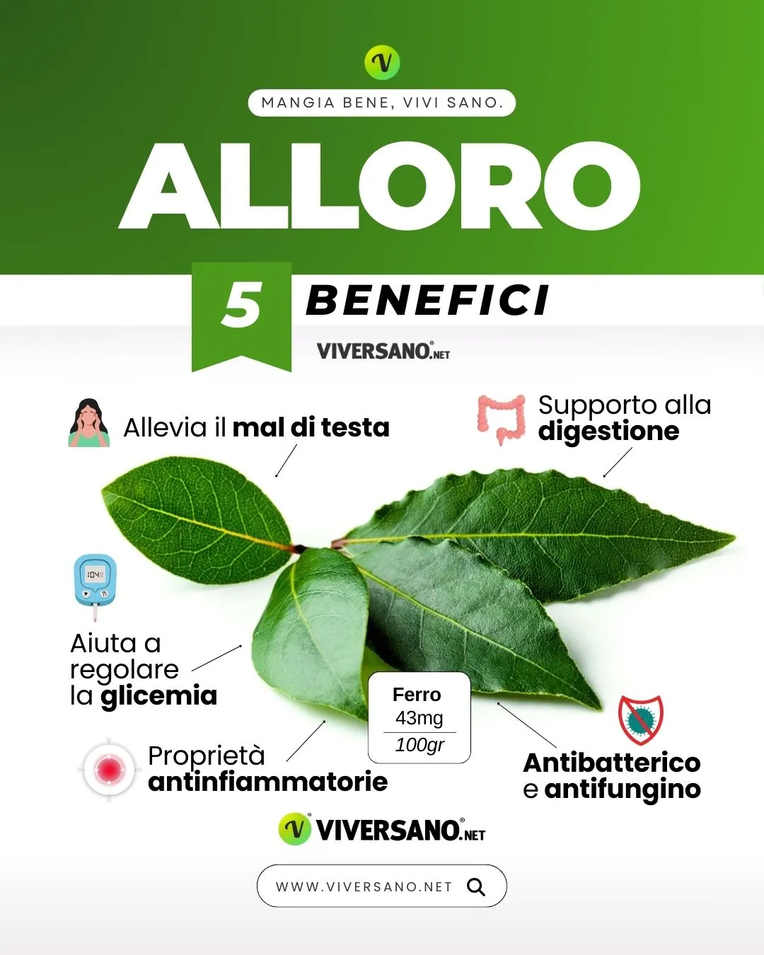 Infografica su 5 benefici alloro