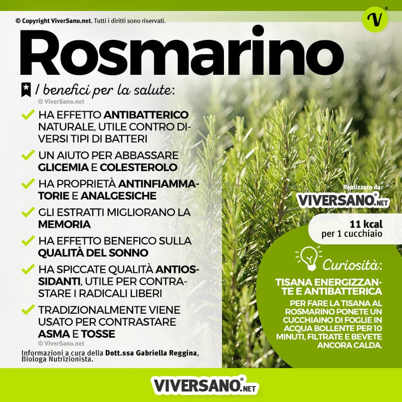 Infografica: I benefici del rosmarino