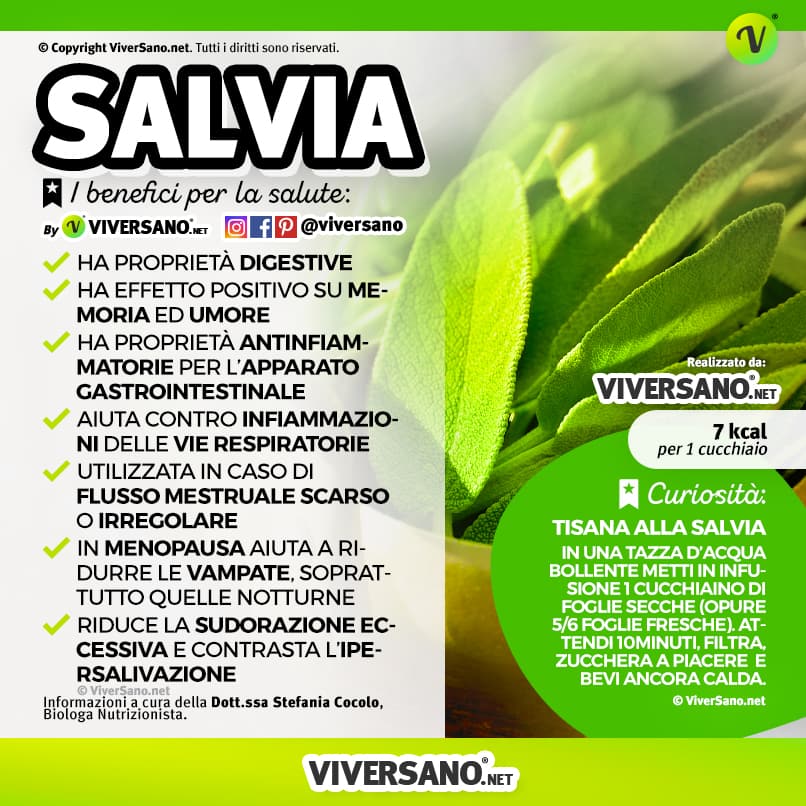 Infografica: I benefici della salvia