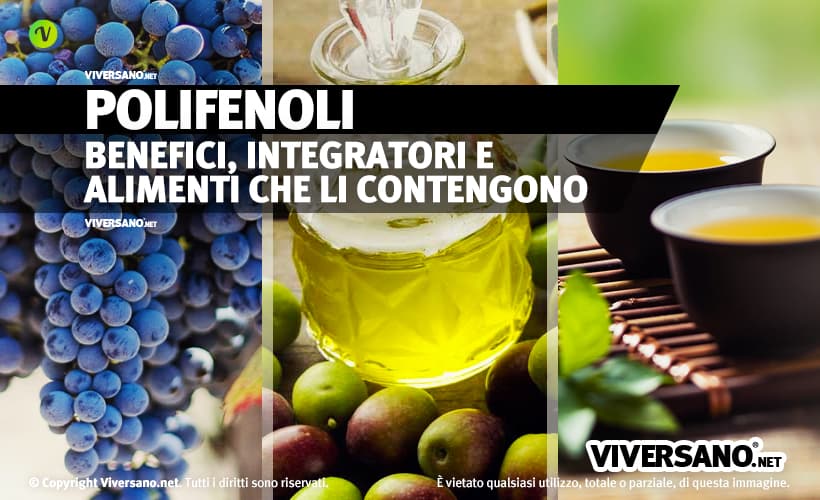 Cosa sono i polifenoli e dove si trovano
