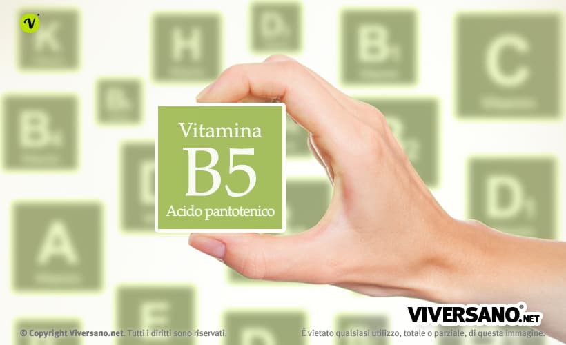 A cosa serve la vitamina B5 o acido pantotenico