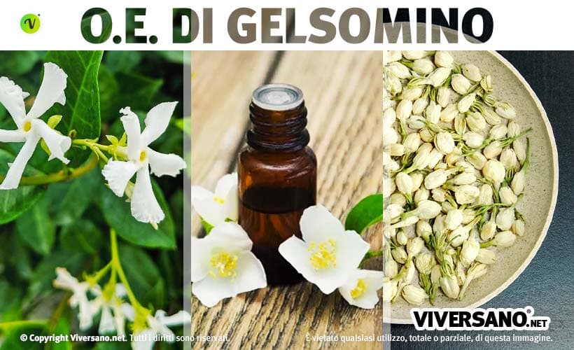 Olio essenziale e fiori di gelsomino