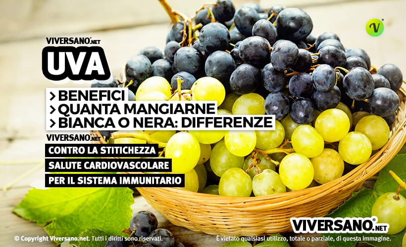 Grappoli di uva bianca e nera