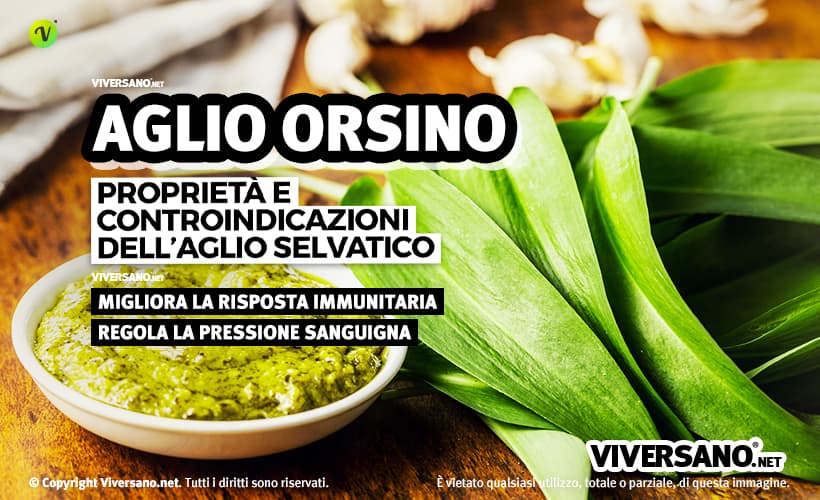 Aglio orsino sfuso sopra un tavolo