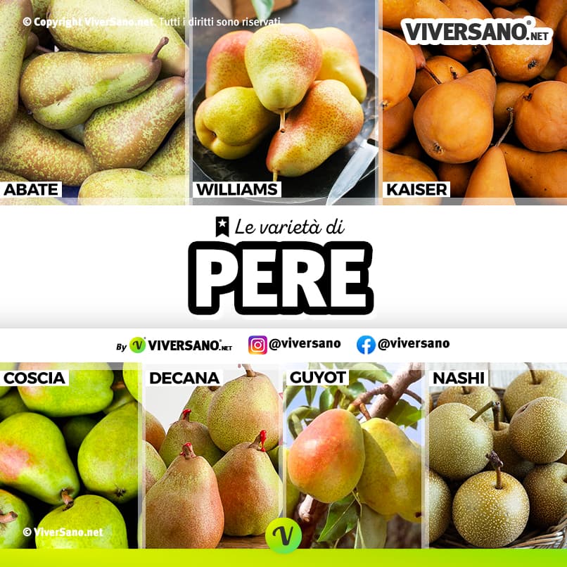 Infografica: immagini di tipologie di mele