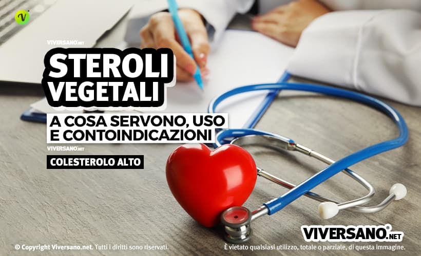 Gli steroli vegetali fanno bene al cuore