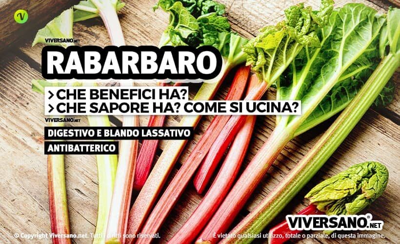 Foglie e gambi di rabarbaro sopra un tavolo