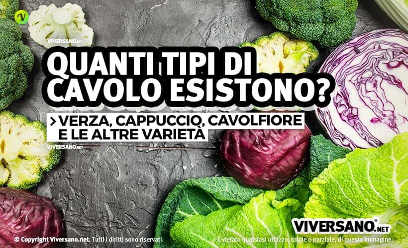 Tanti tipi di cavolo sopra un tavolo
