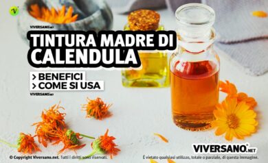 Tintura madre e fiori di calendula sopra un tavolo