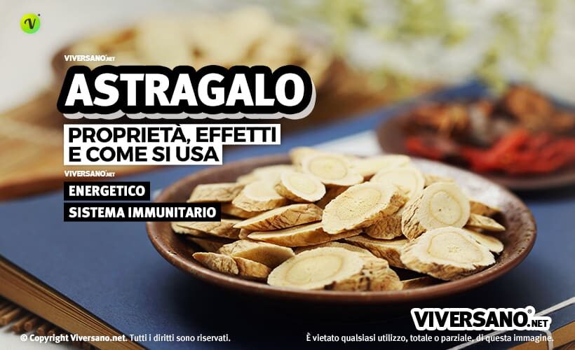 radice di astragalo essiccata e tagliata