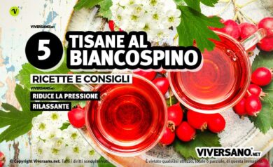 Tisana al biancospino con fiori e bacche sullo sfondo