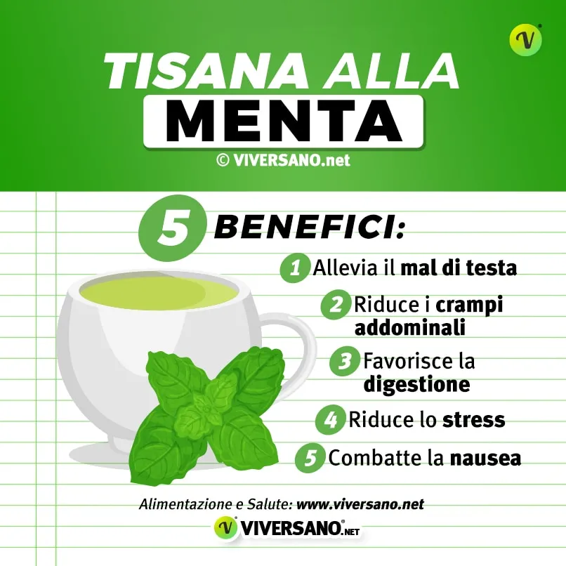 Infografica su 5 benefici della tisana alla menta