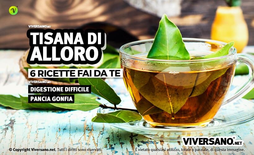 Tisana con foglie di alloro in una tazza
