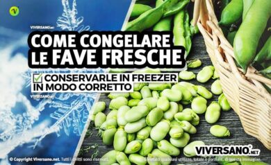 Tecniche per congelare le fave fresche o cotte