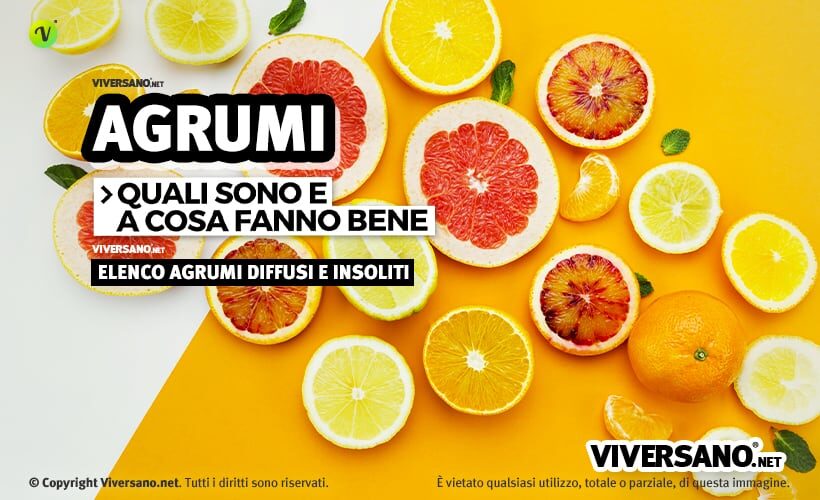 Agrumi misti sopra un tavolo