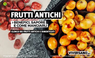 Quali sono i frutti antichi e a cosa fanno bene