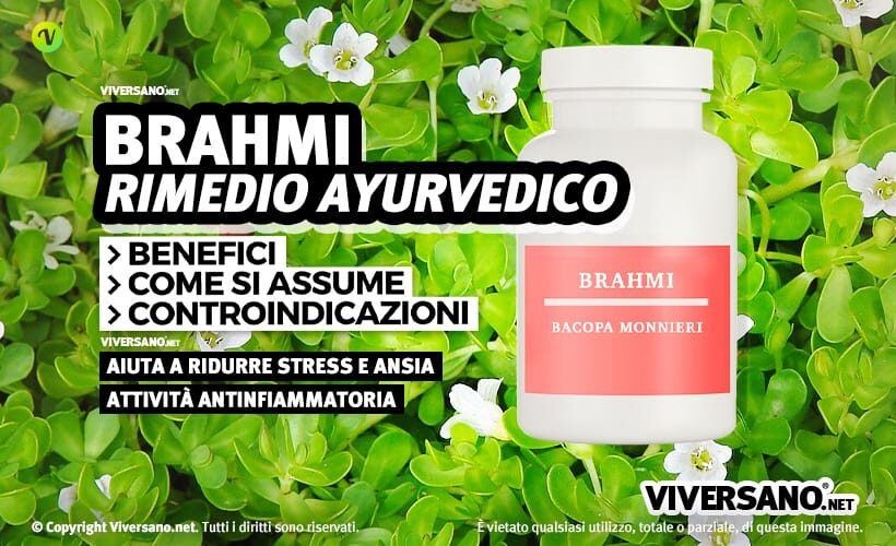 Bacopa pianta e integratore alimentare