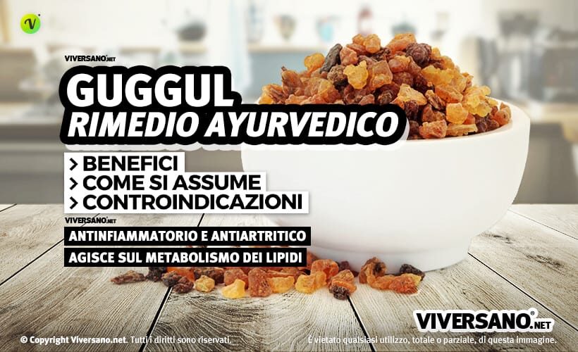 Guggul resina essiccata sopra un tavolo