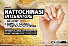 Integratore di nattochinasi