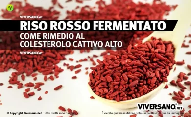 riso rosso fermentato sfuso