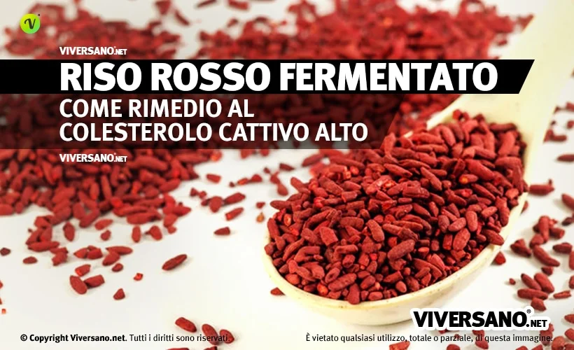 riso rosso fermentato sfuso