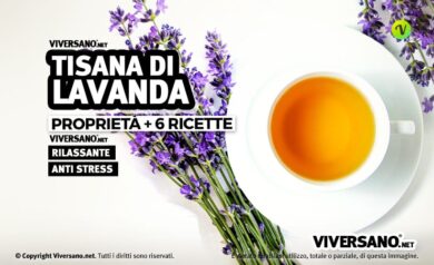 Tisana alla lavanda da fare a casa