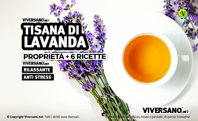 Tisana alla lavanda da fare a casa